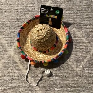 Vibrant Sombrero with Colorful Trim